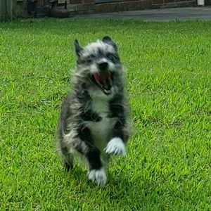 Meet your Posher, Kay